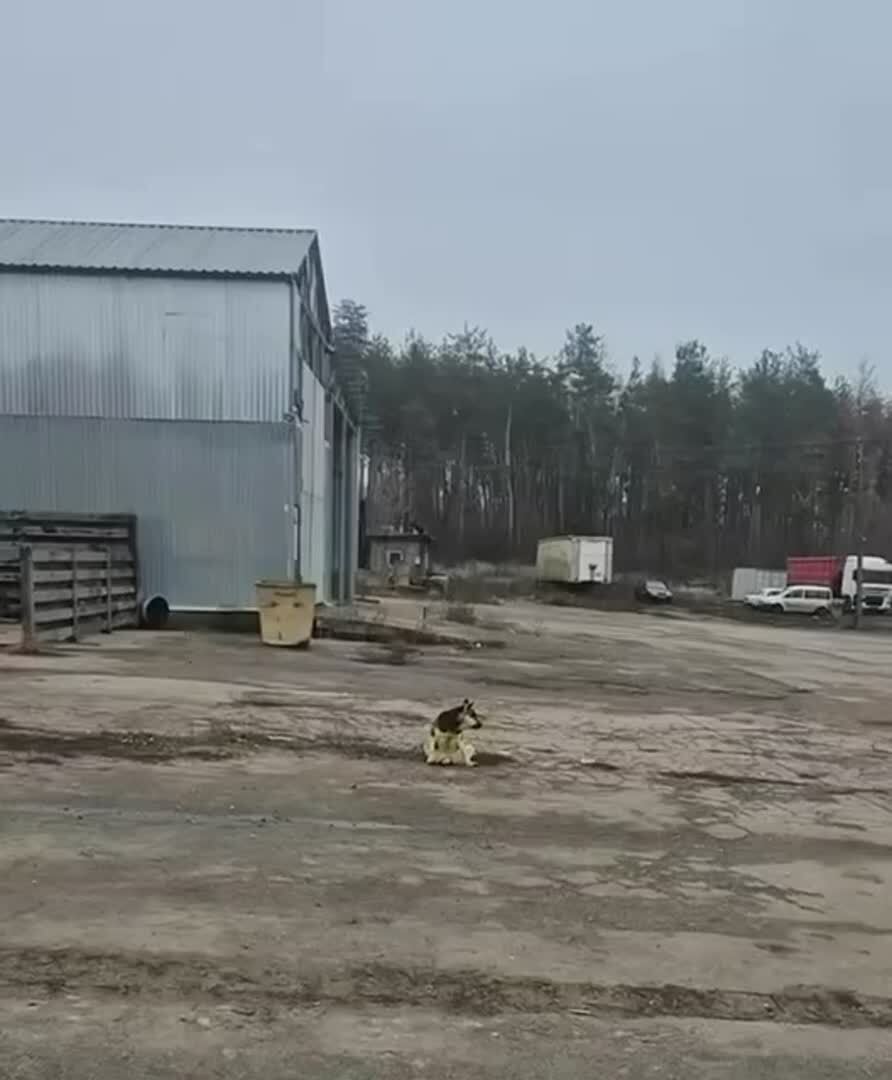 Когда сказали сидеть на жопе ровно