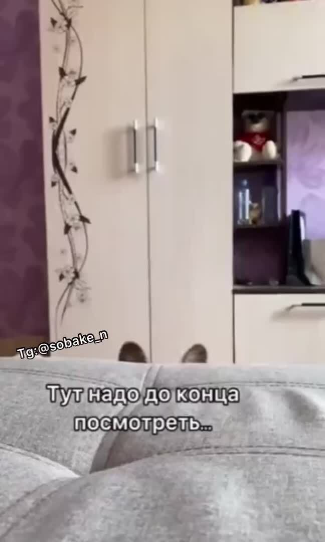 Смотри, какая красота