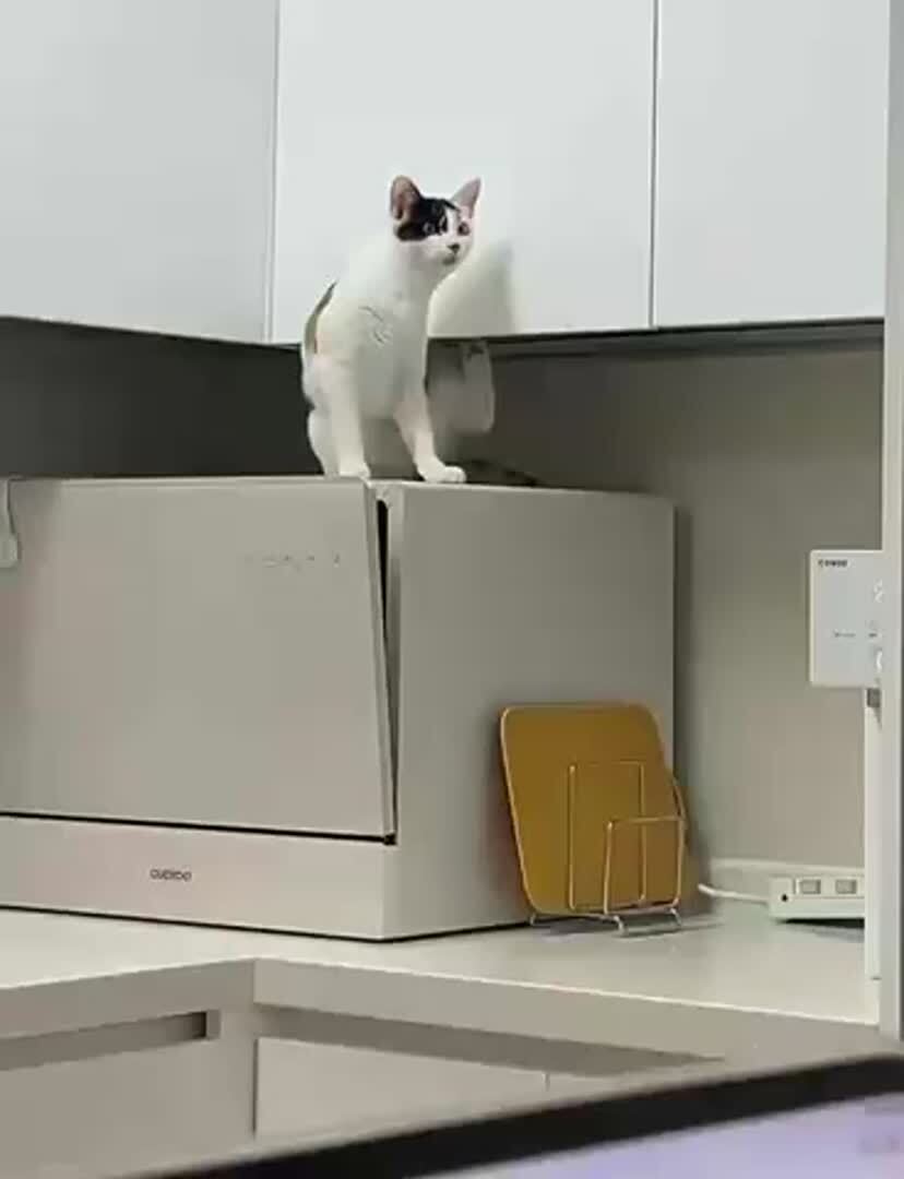 Чешется что-то