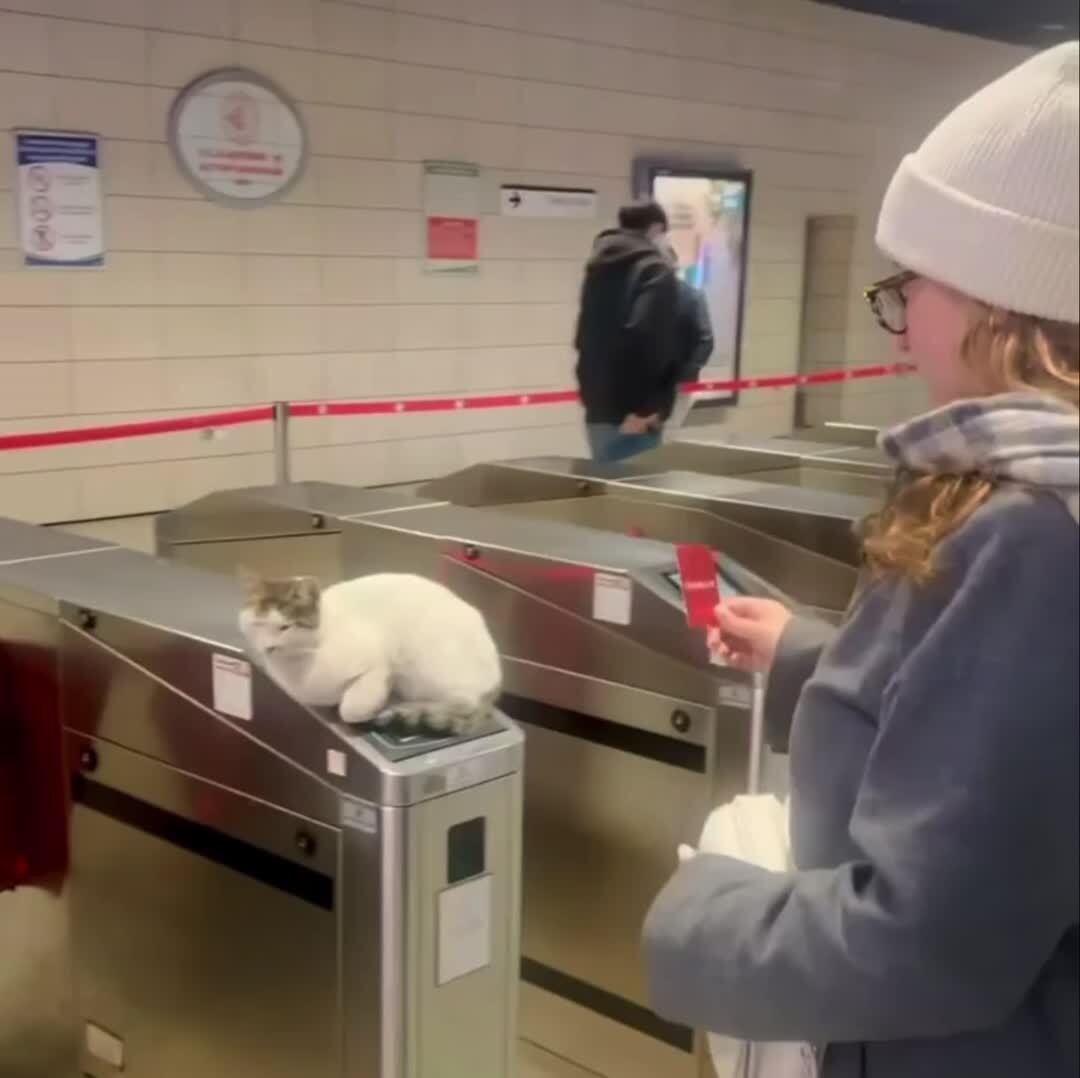 Система контроля