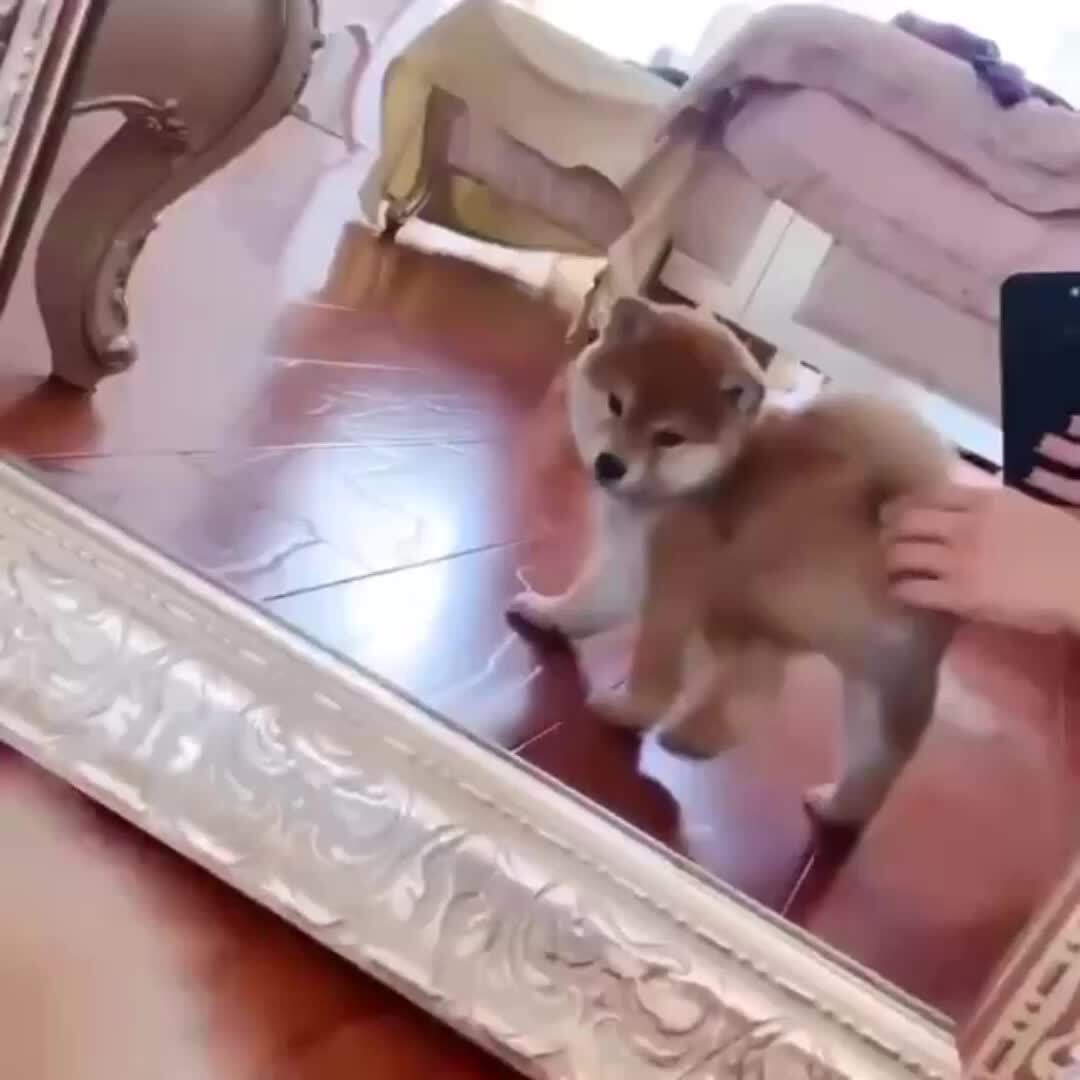 Каждая девушка перед зеркалом