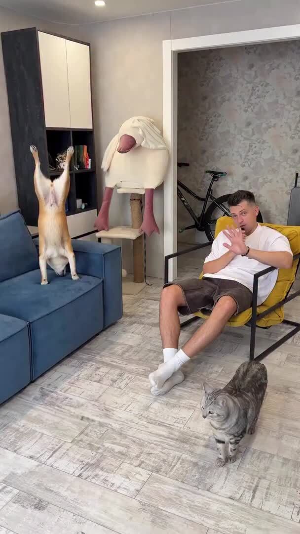 Завистники скажут, что это ИИ 😂😂Со звуком