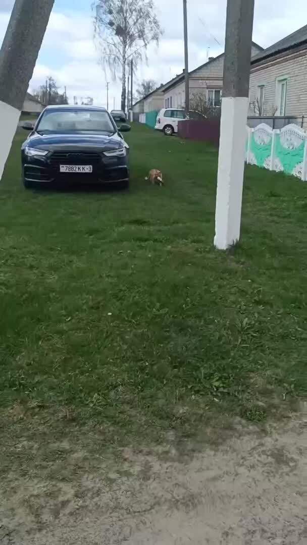 Добытчик
