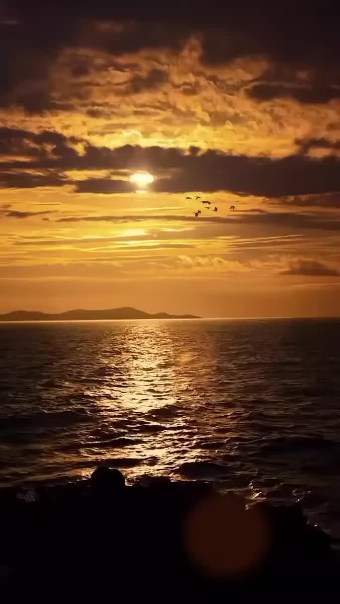 красивое видео на закате 
#природа #закат 