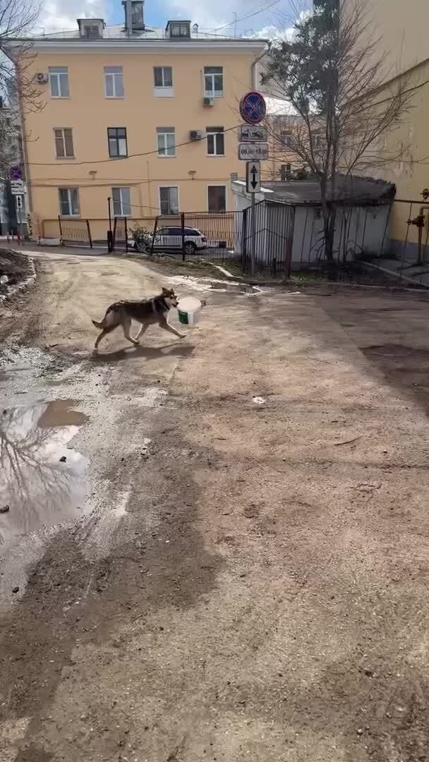 Целеустремленный
