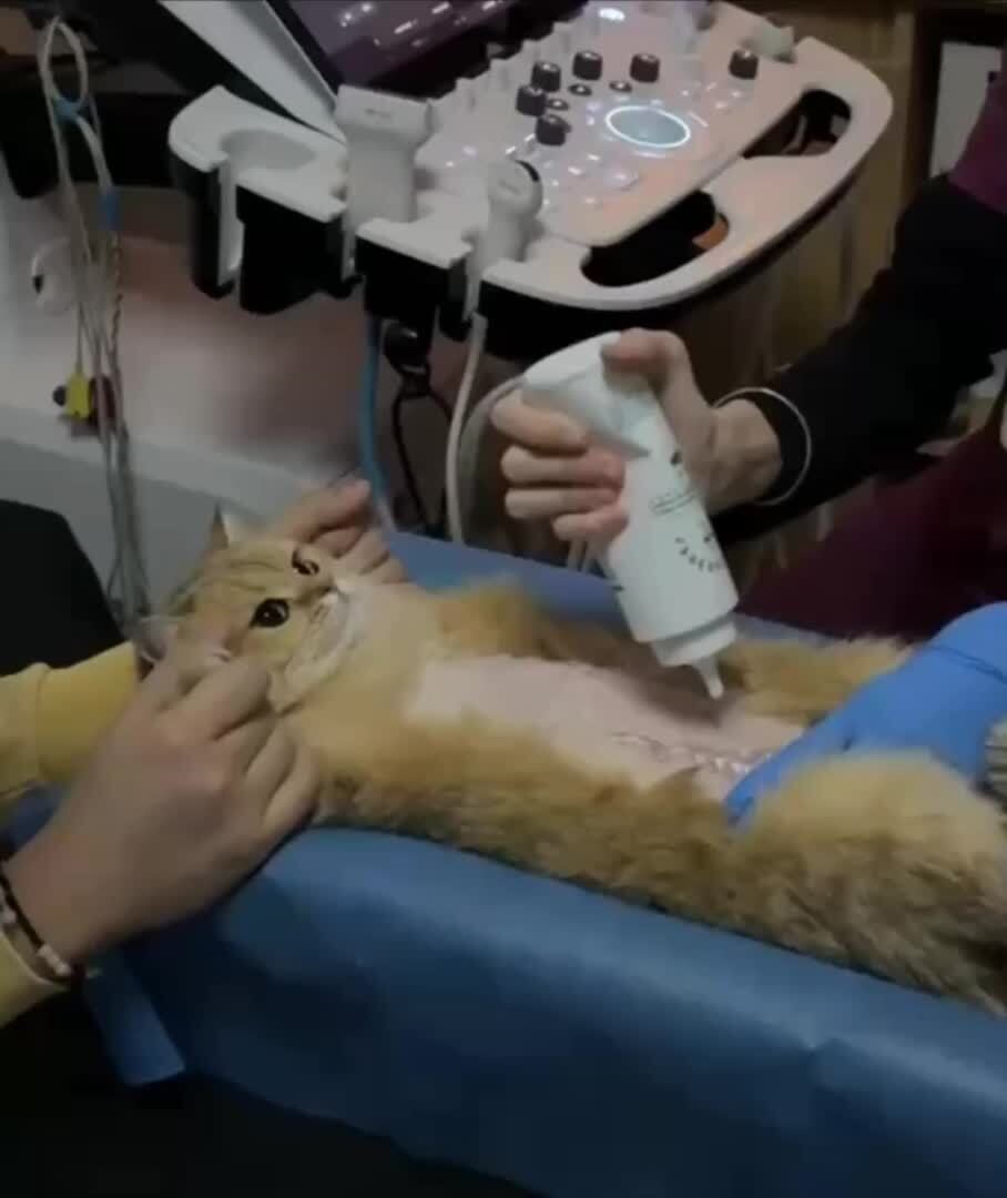 А какое стоп слово