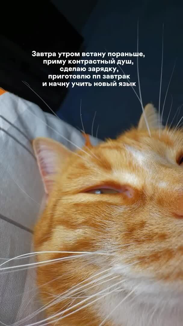 И так каждое утро...