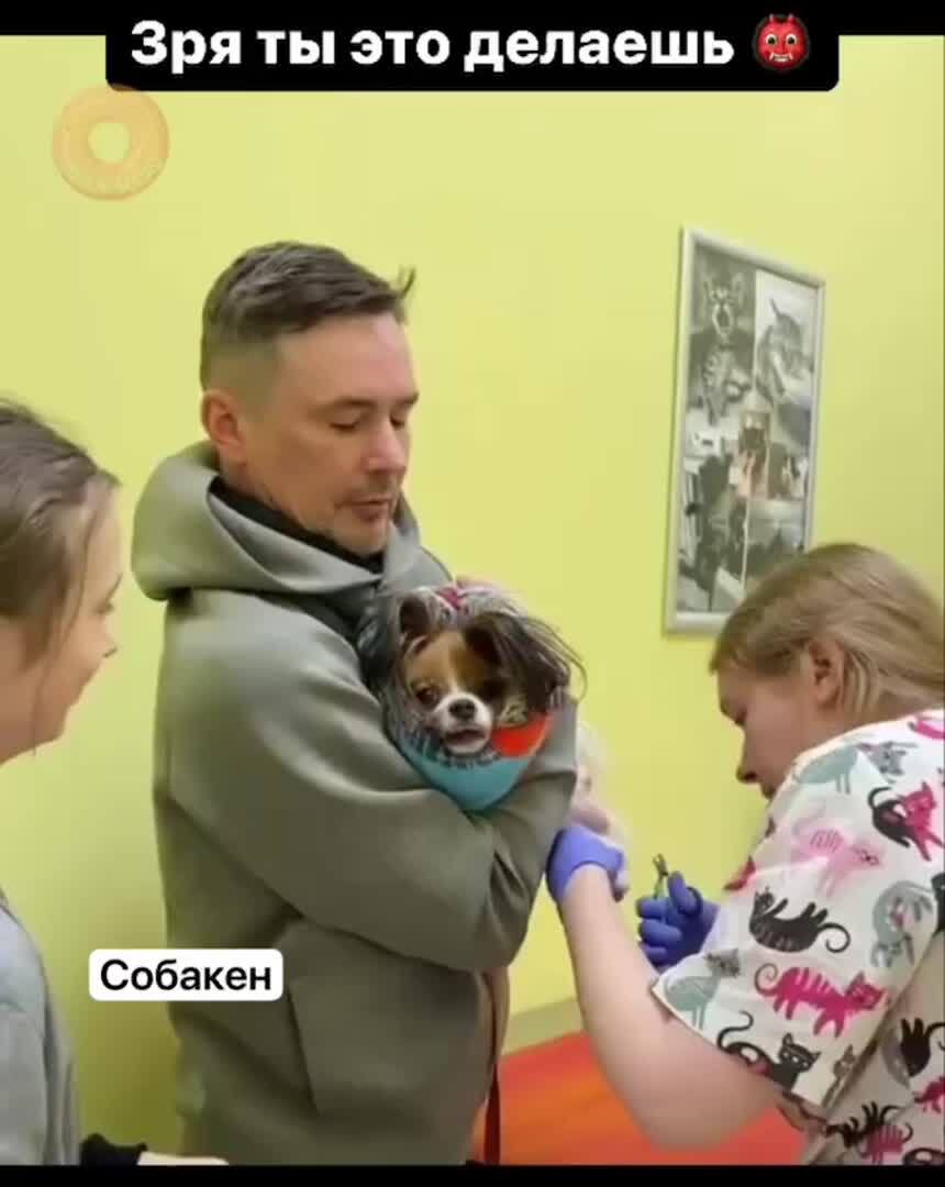 Укус кобры⁠⁠