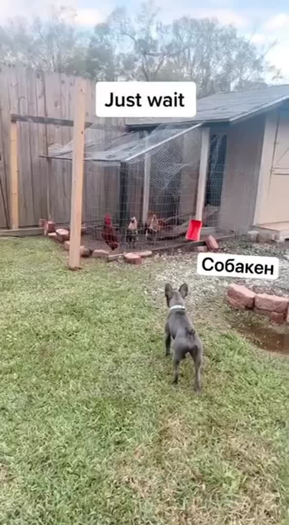 Разговор не задался