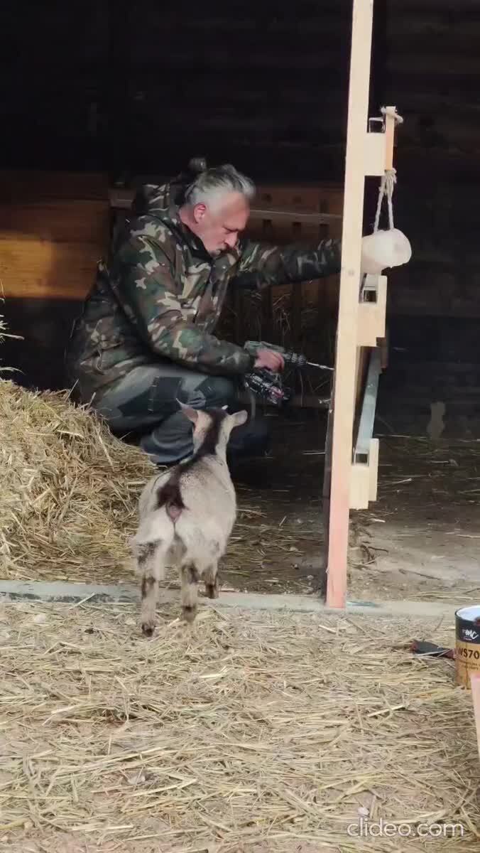 Помощники