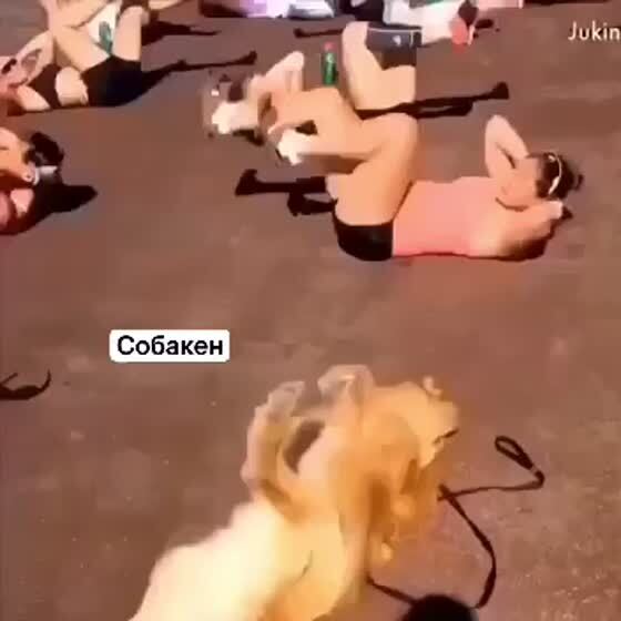 Я и спорт