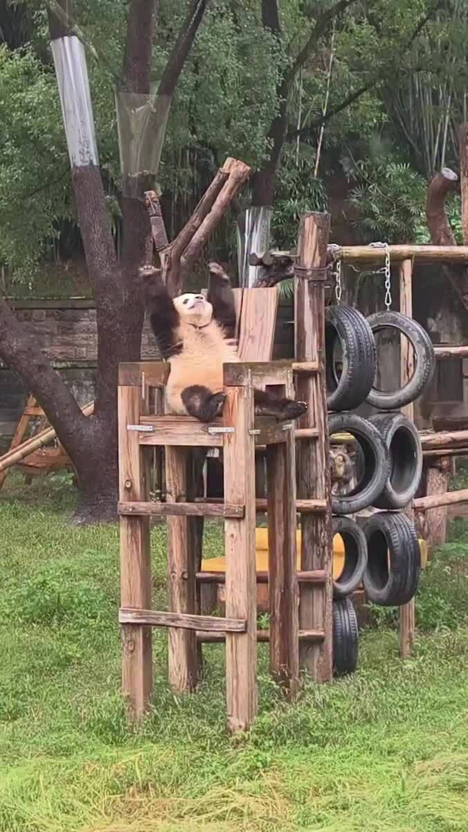 Доброе утро