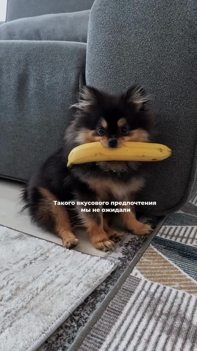 Мем #35348