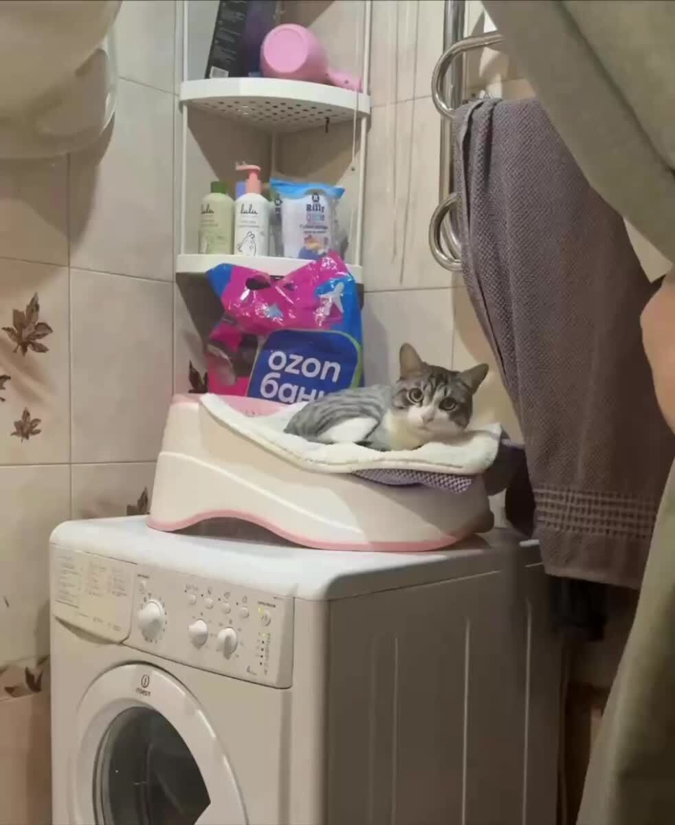 Причина тряски?