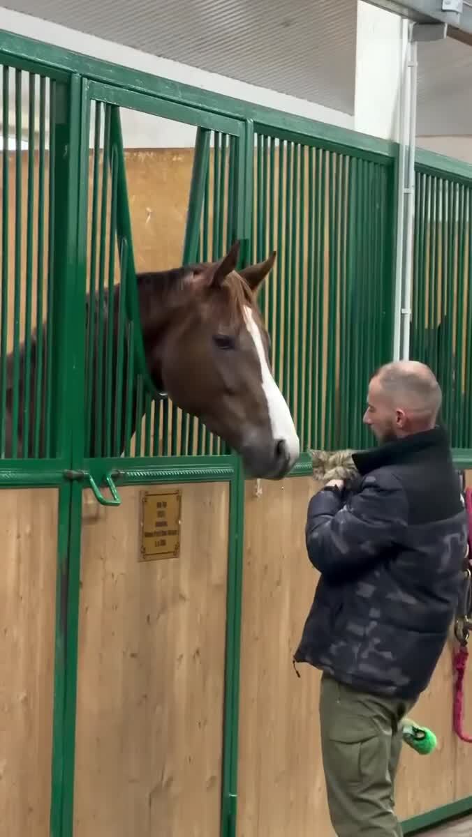 Первое знакомство