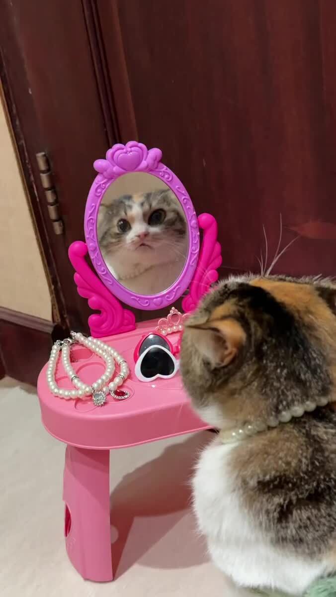 Чё ржёшь, двуногая?