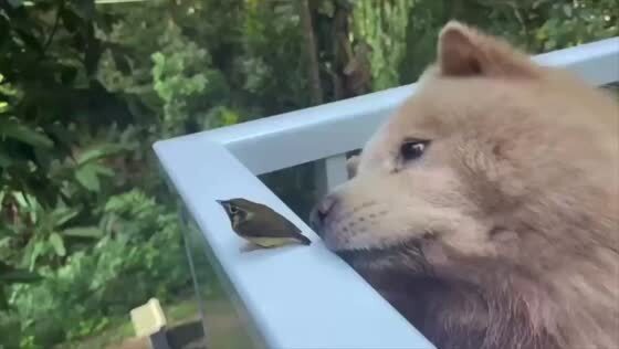 "Ну, посмотри на меня!"