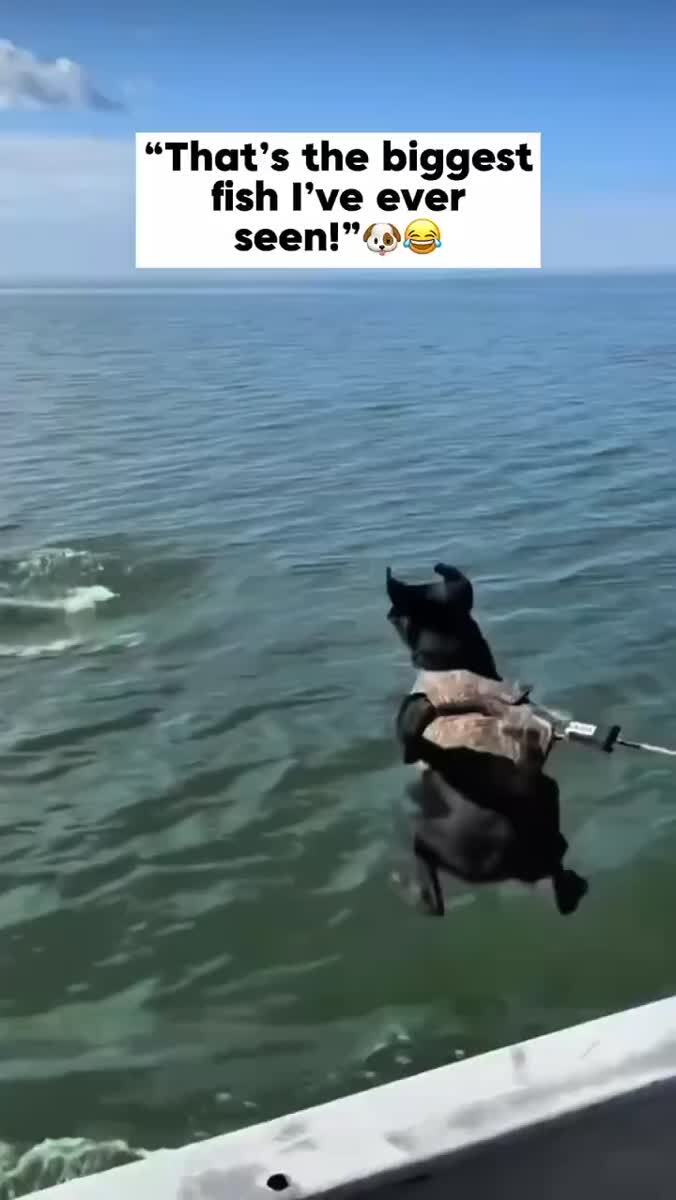Прирождённый охотник