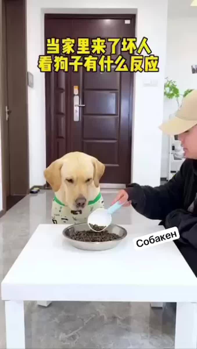 Самое ценное спасал