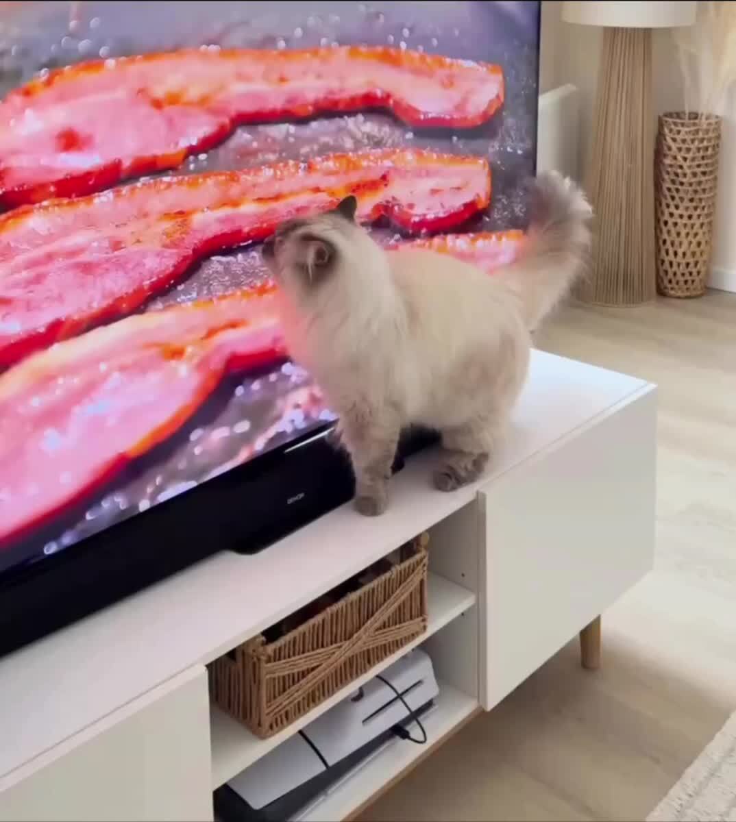 Оо бекончек