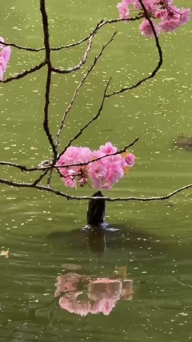 Доброе утро🌸