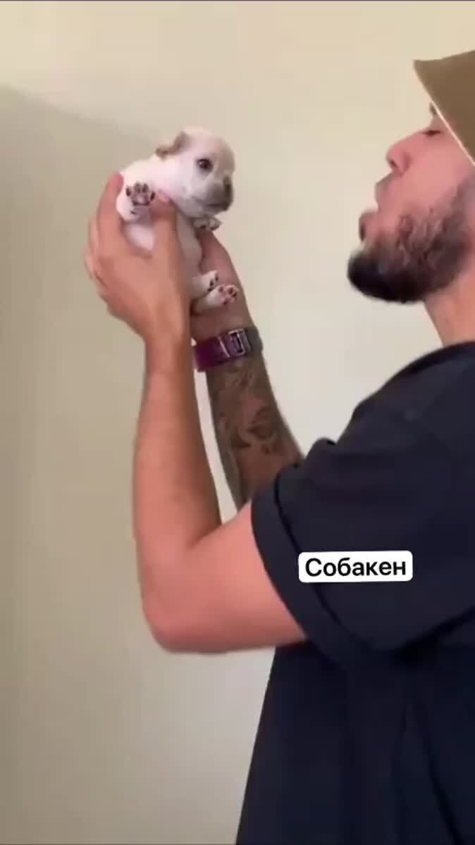 Ученик