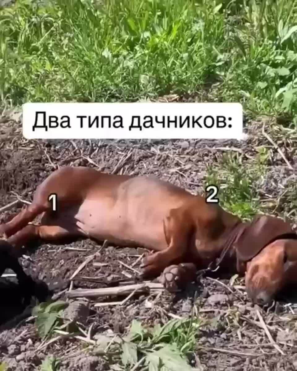 Жизненно