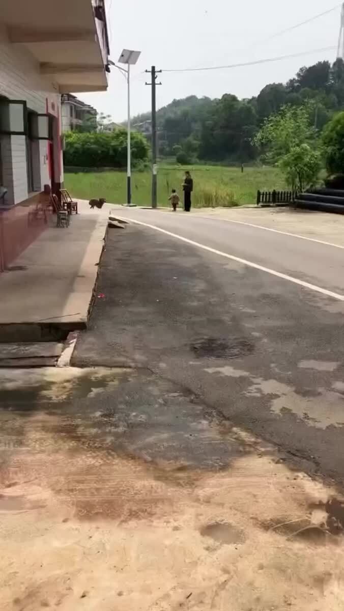 Я тут это... на речку ходил