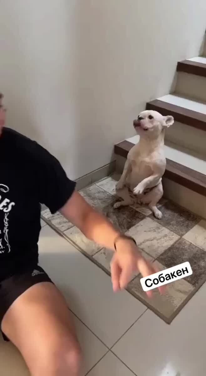 Когда ты за любую суету