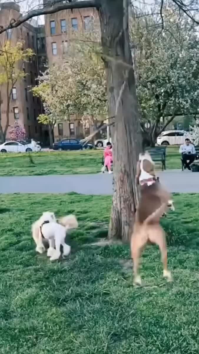 Каждый занят своим делом