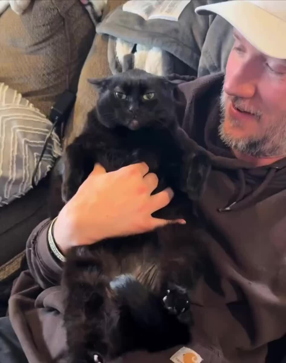 Доброе утро