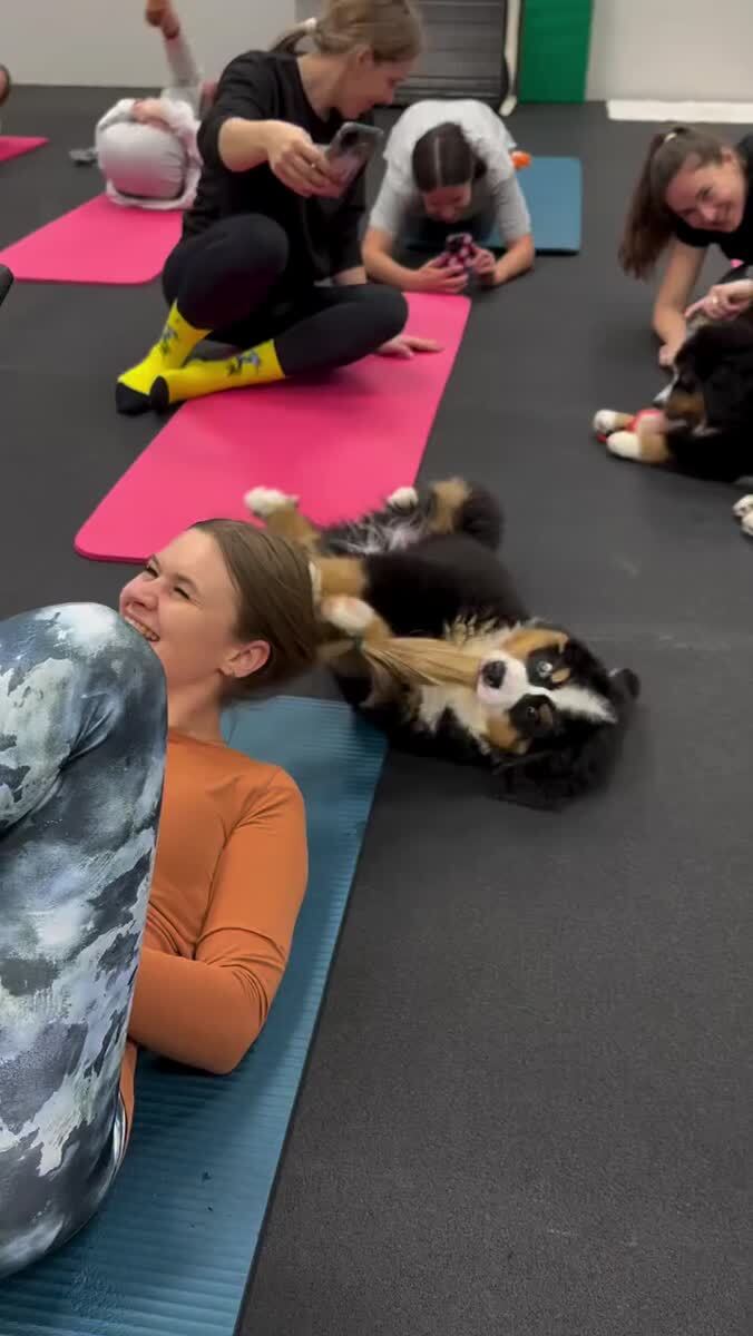 Правильный спорт