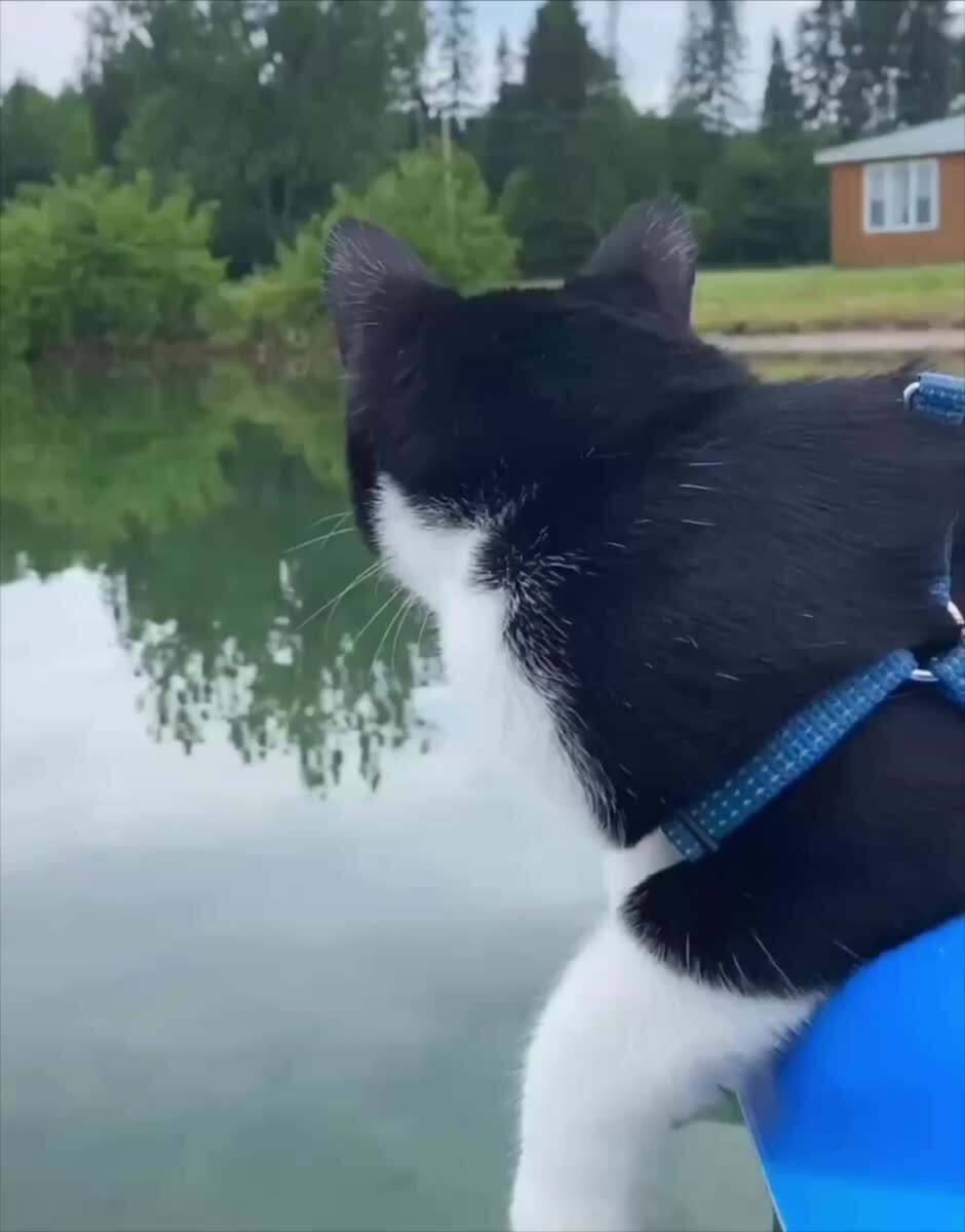 Пьем водически через блютуз
