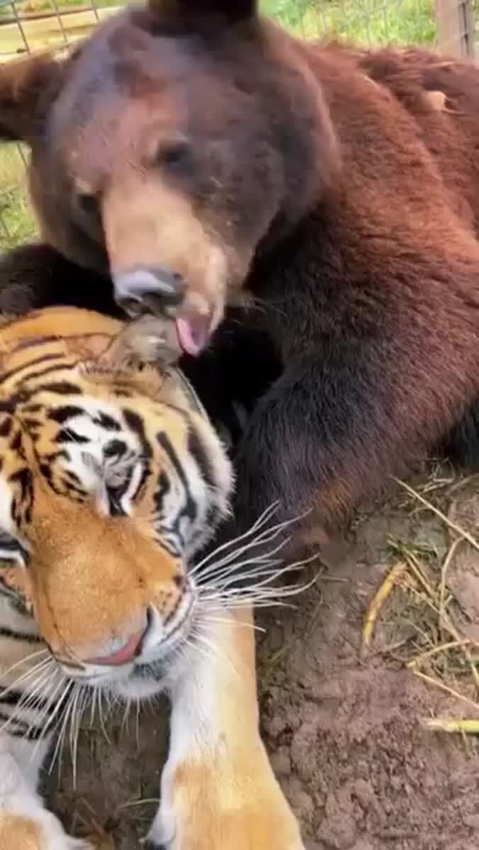 Мы? 🥰