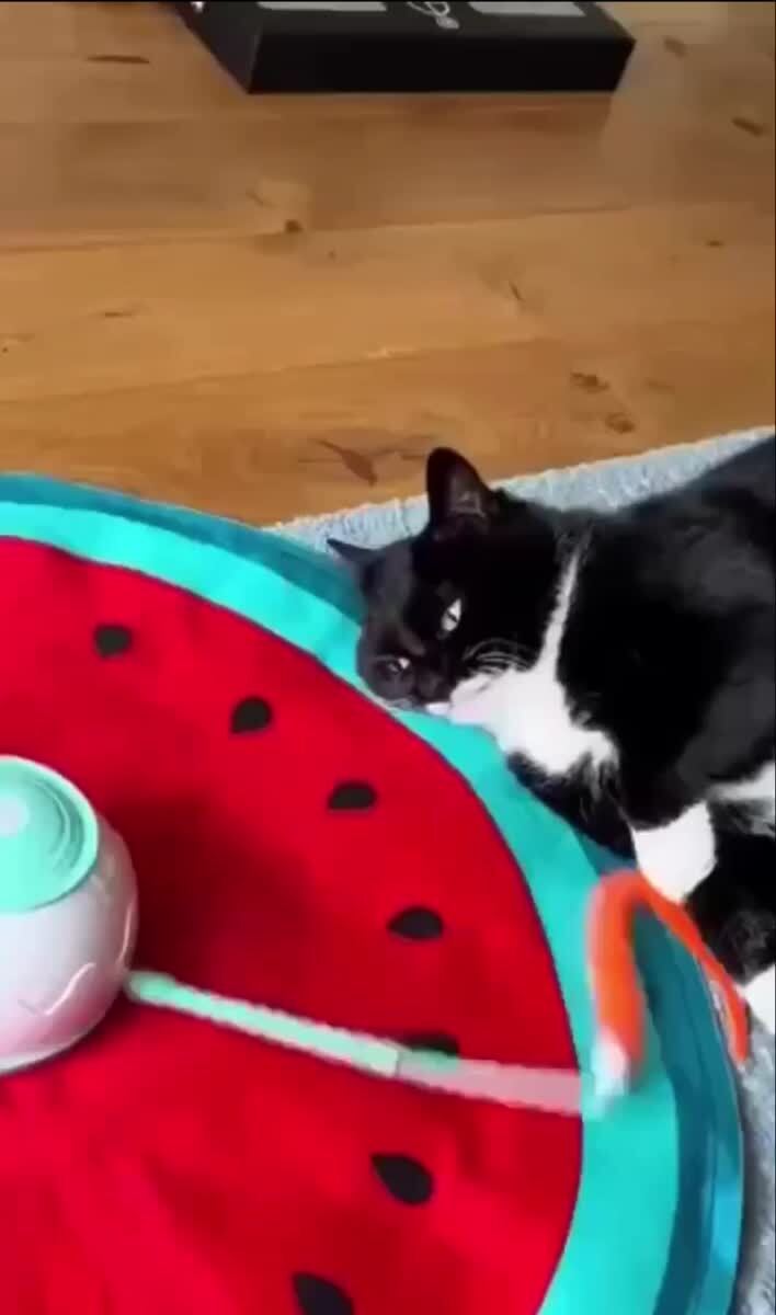 Ерунда, а не игрушка