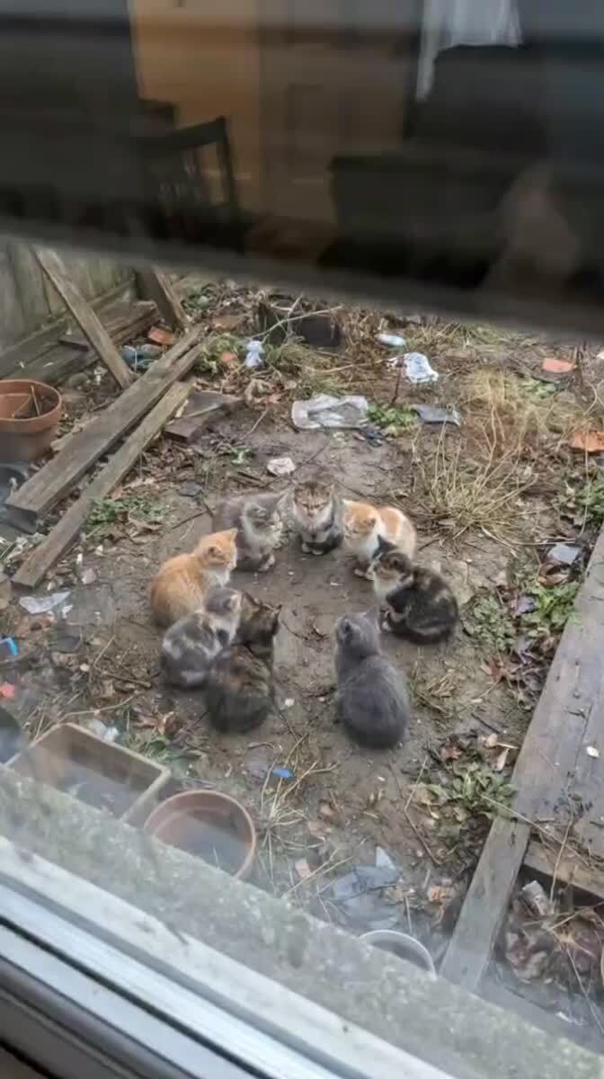У них собрание