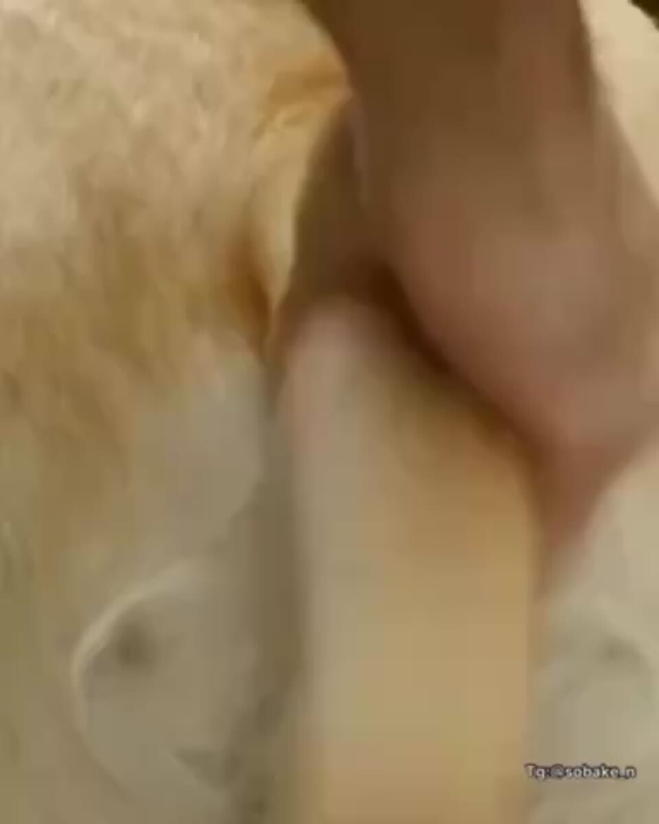 Мне срочно нужна эта штука 😁😁 какашкохват 2.0