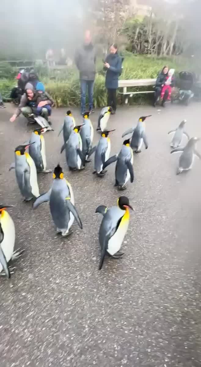 😍