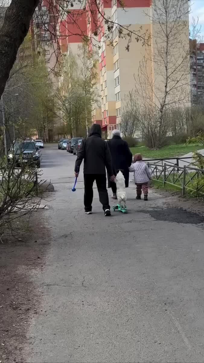 Батя: я не хочу собакуБатя с собакой:
