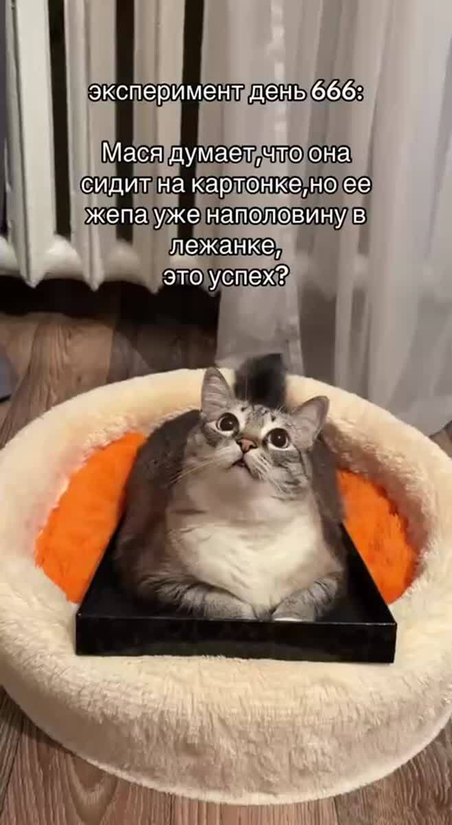 Мем #35423