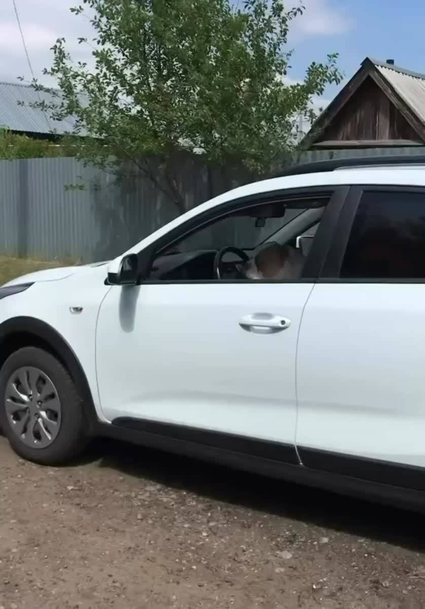 Скажите спасибо, что замок не заблокировал