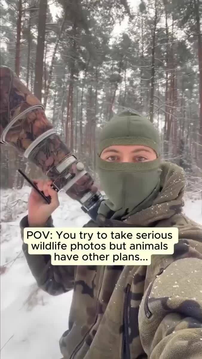 Быть фотографом дикой природы это: