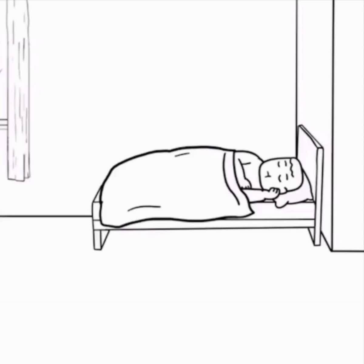 Жизнь владельца кота: