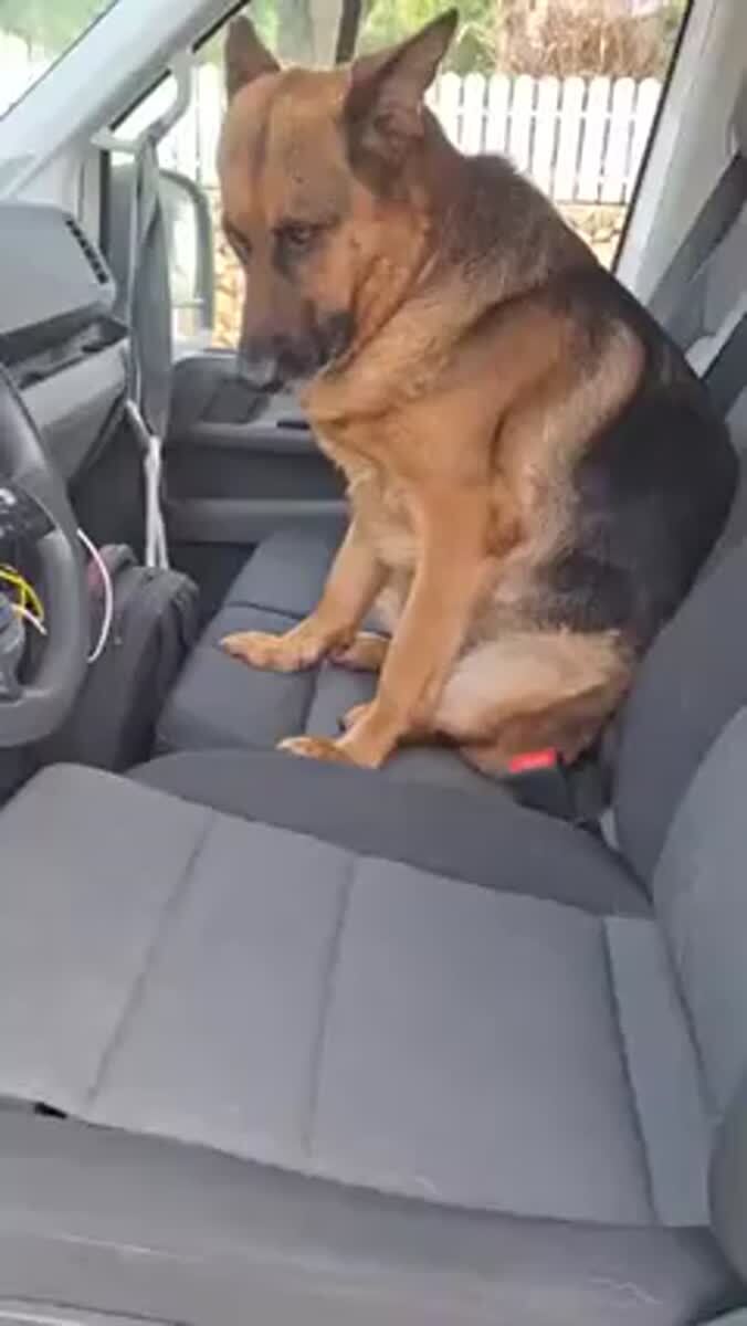 Врешь