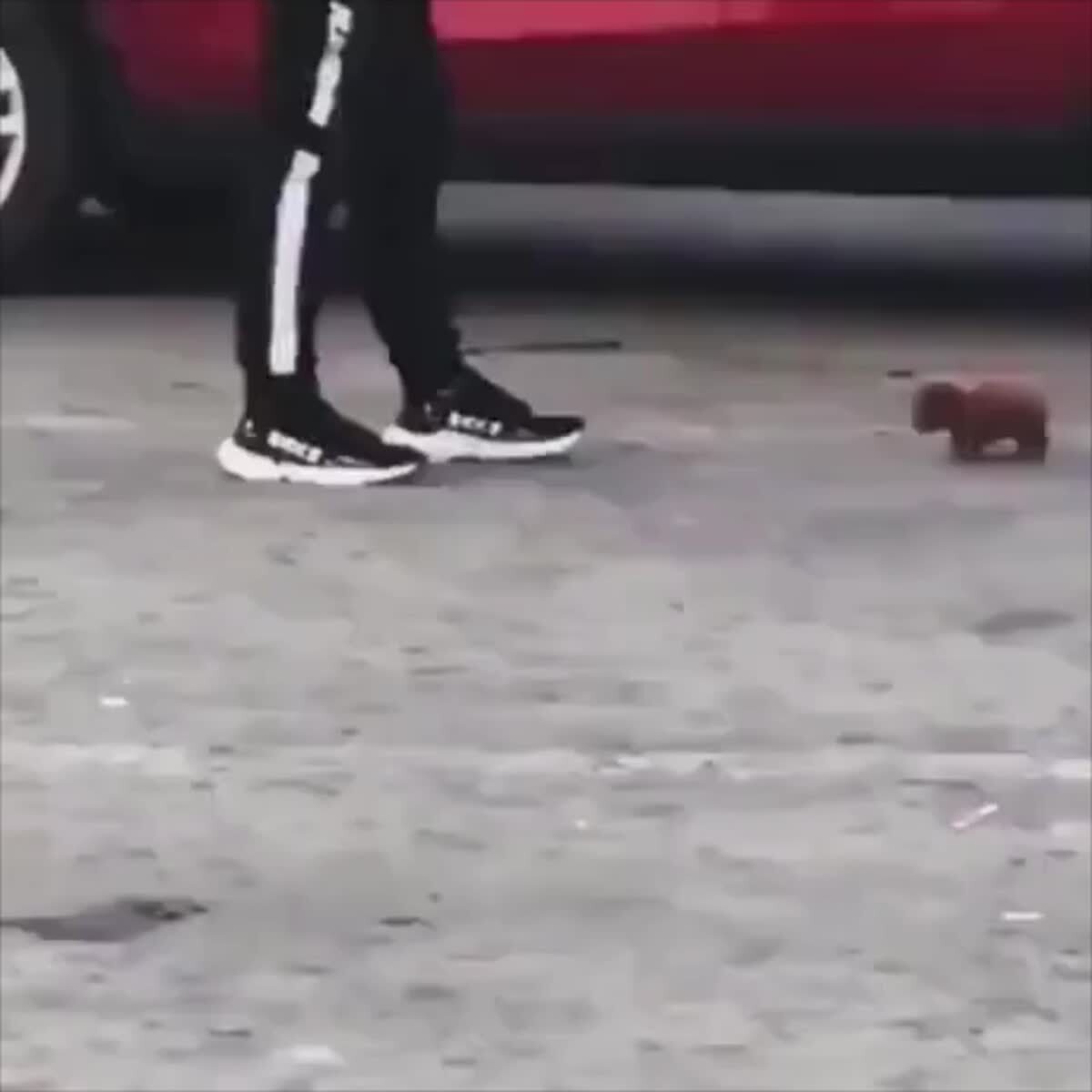 Гроза района