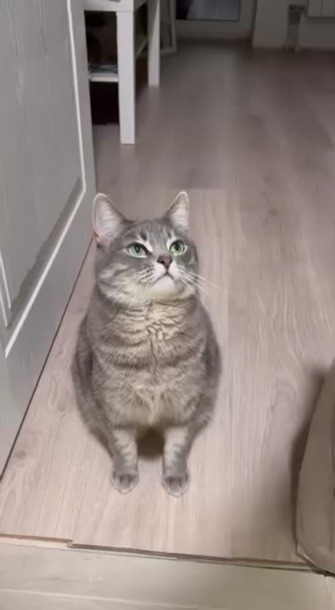 Да не я это