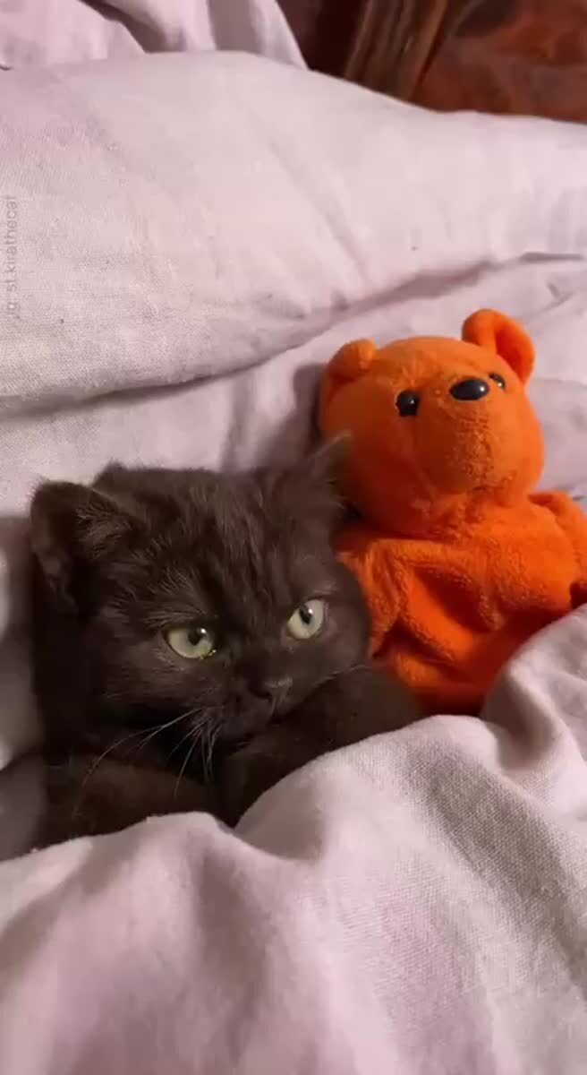 Сладких снов