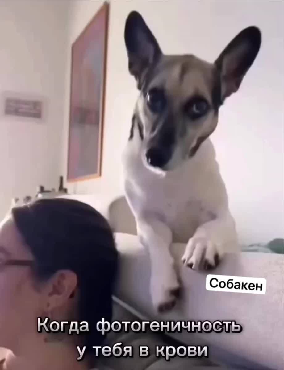 Ну фотомодель уровень королева