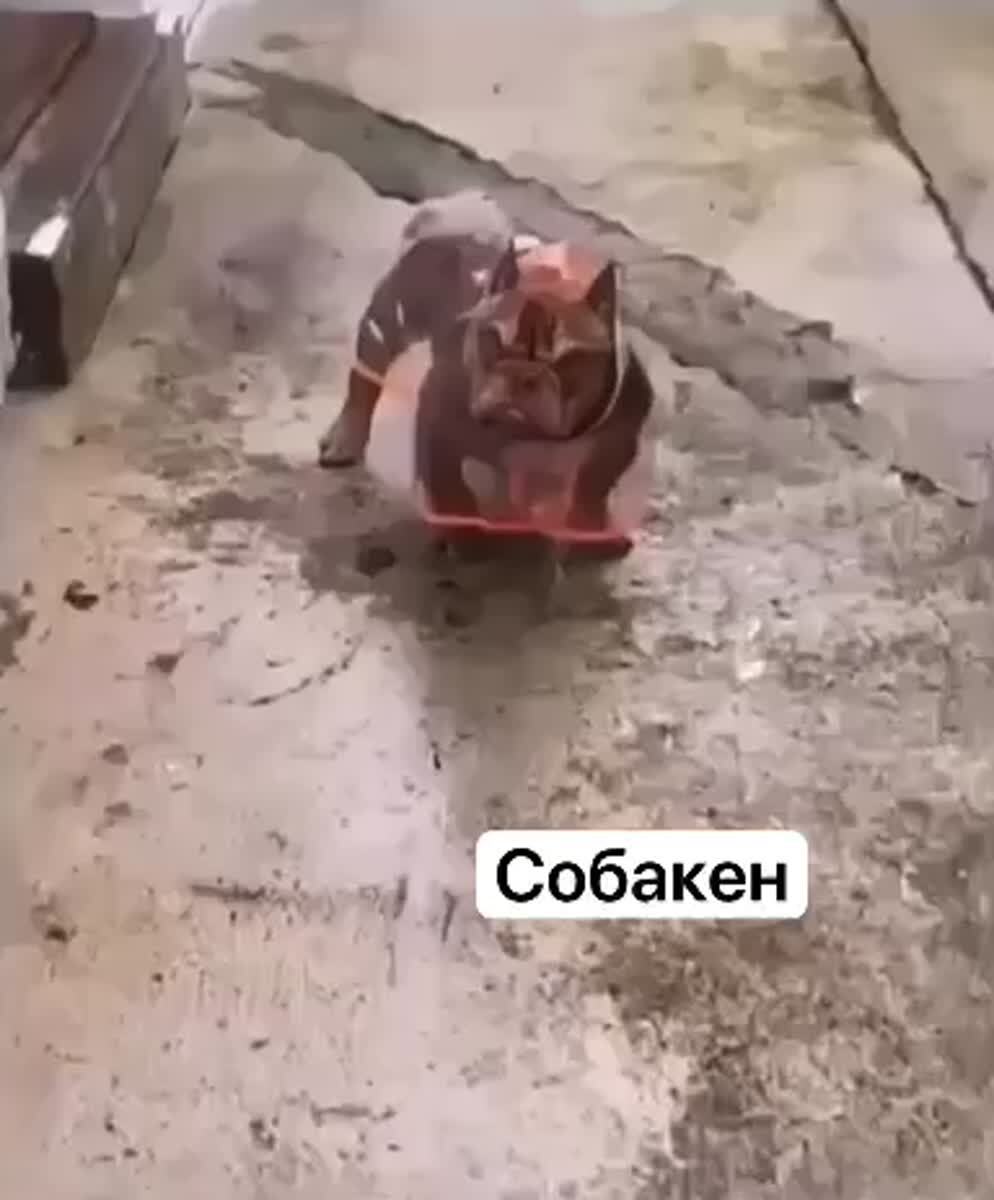 Когда ты брутальный пацан, но плащик от мамы носить обязан.