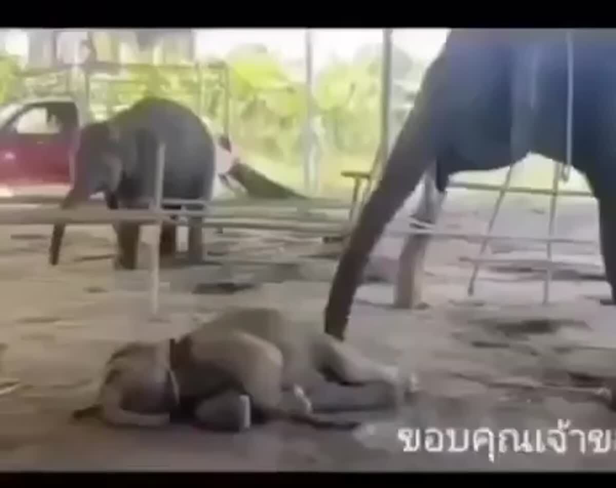 Подъем